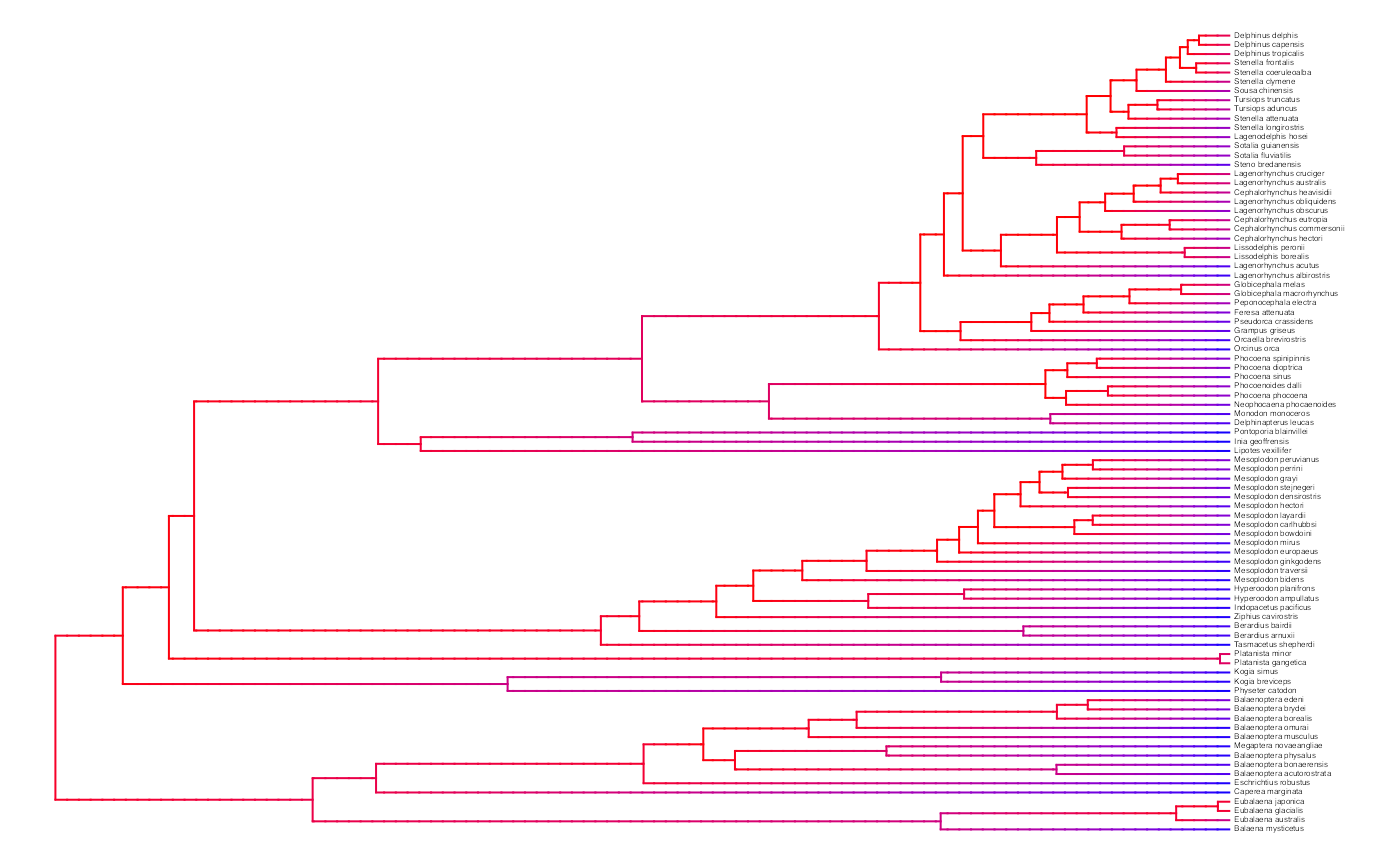 A model-averaged MiSSE analysis of the cetacean phylogeny of Steeman et al. (2009) shows an apparent slow down in the net diversification through time.